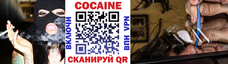 kraken вход  Димитровград  Кокаин FishScale  продажа наркотиков 
