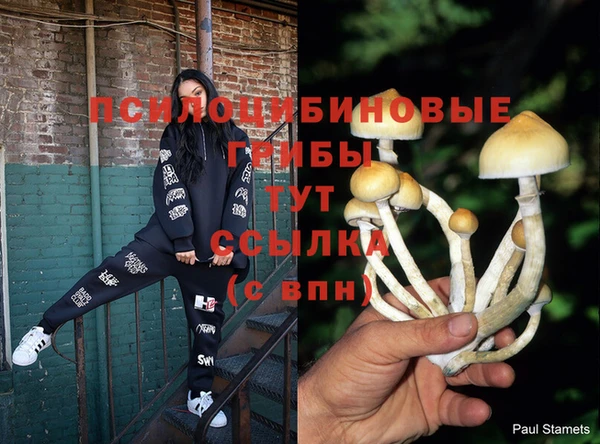 спайс Алзамай
