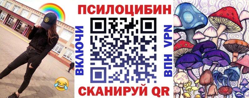 Псилоцибиновые грибы Psilocybine cubensis  Димитровград 